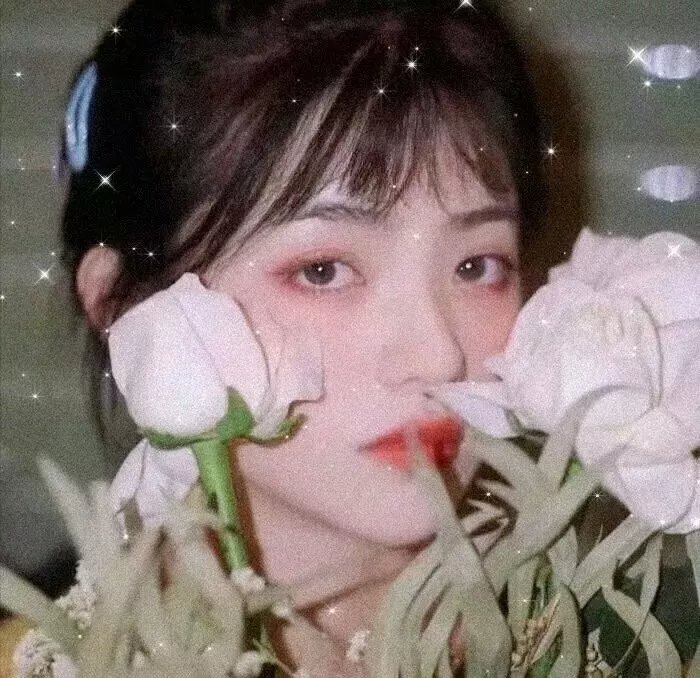 兰闺飞凤